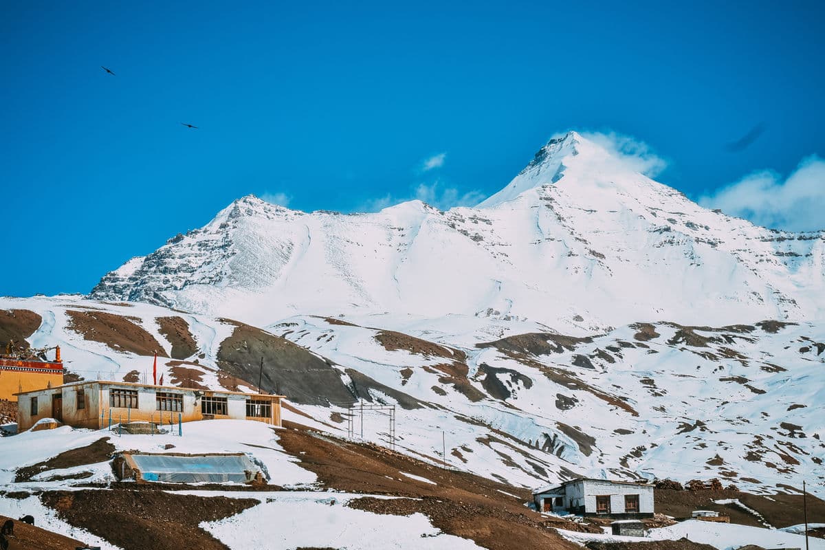 Family Escape: 7 Nights in Kashmir